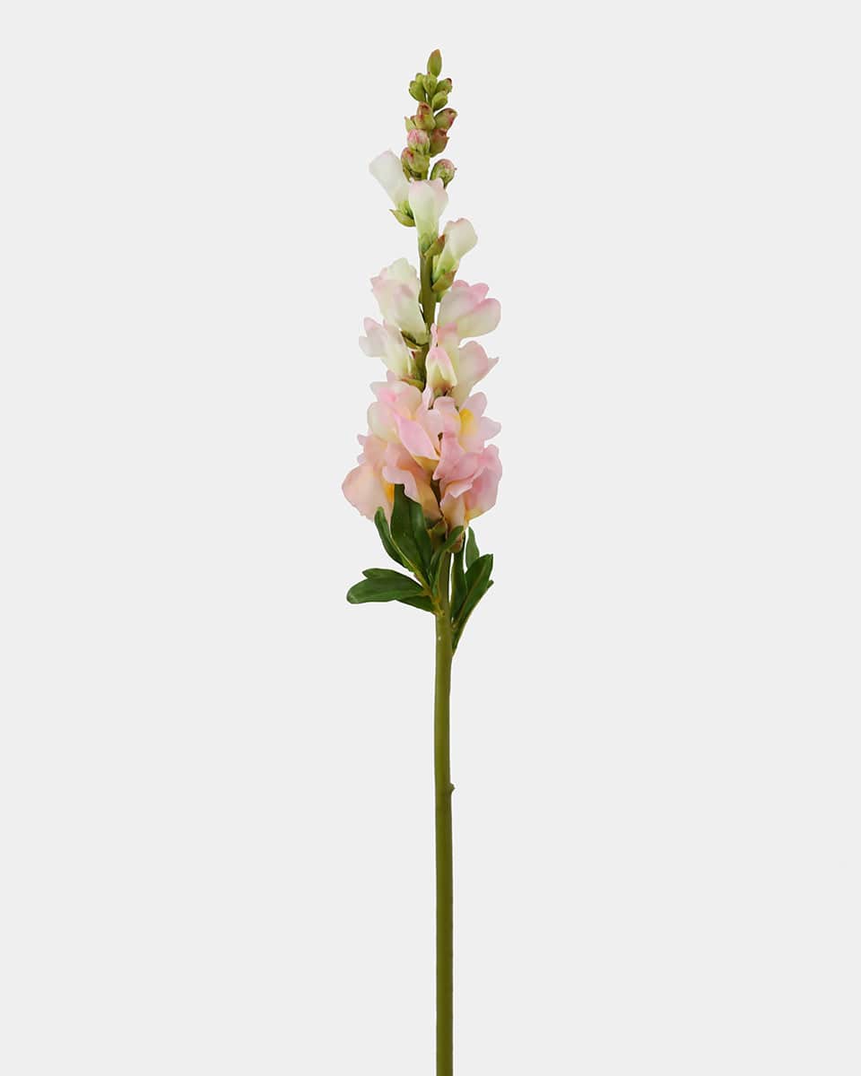 Real Touch Pink Snapdragon 23” - 1 Main image