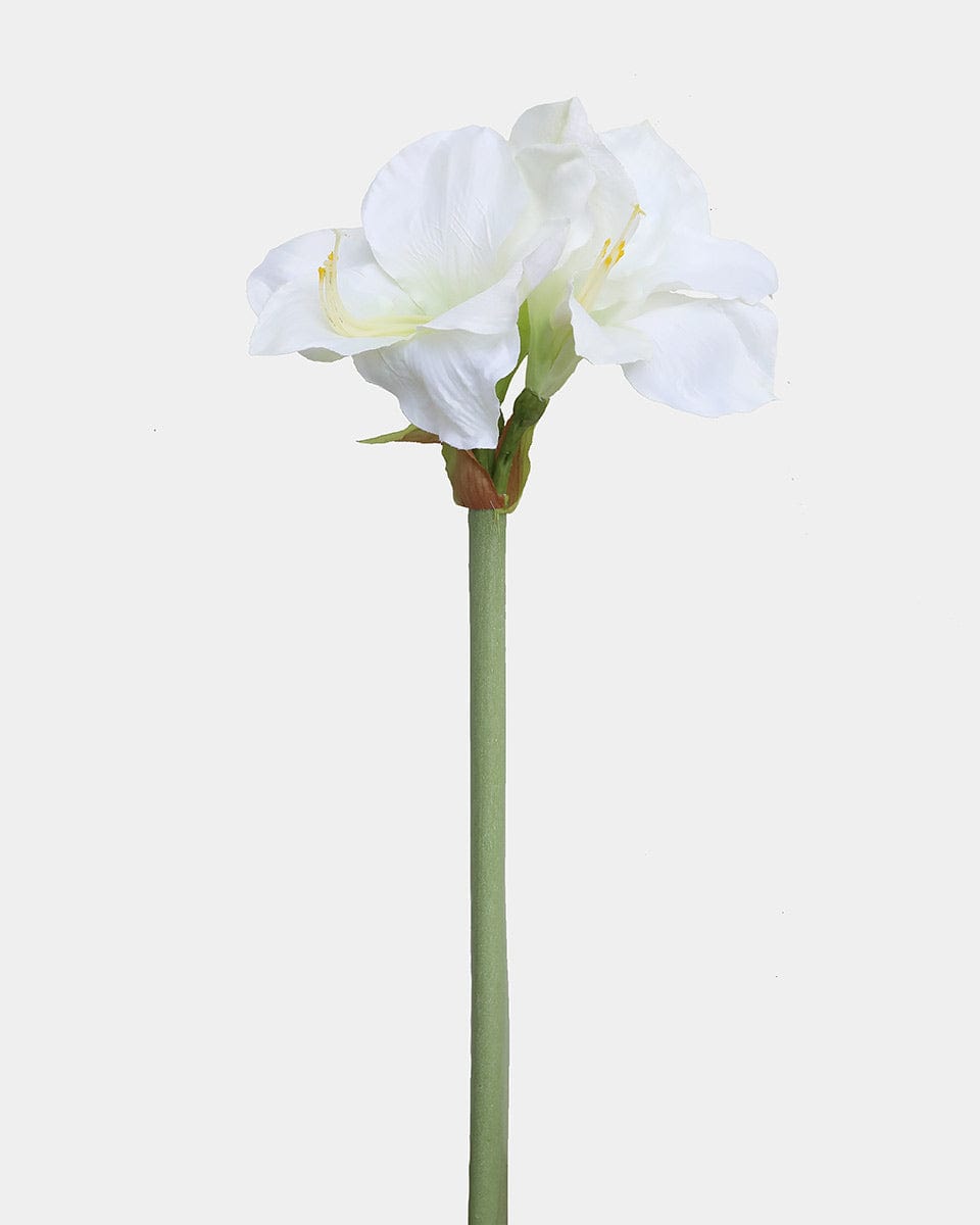 White Artificial Amaryllis 19.5” - 1 Main image
