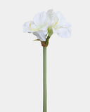 White Artificial Amaryllis 19.5” - 1