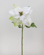 White Poinsettia 24” - 1