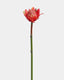 Faux Red Orange Waratah Protea 16.5” - 1