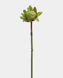 Faux Green Waratah Protea 16.5” - 1