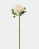 Cream Silk Ranunculus 21” - 1