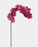 Deep Magenta Phalaenopsis Orchid 34" - 1