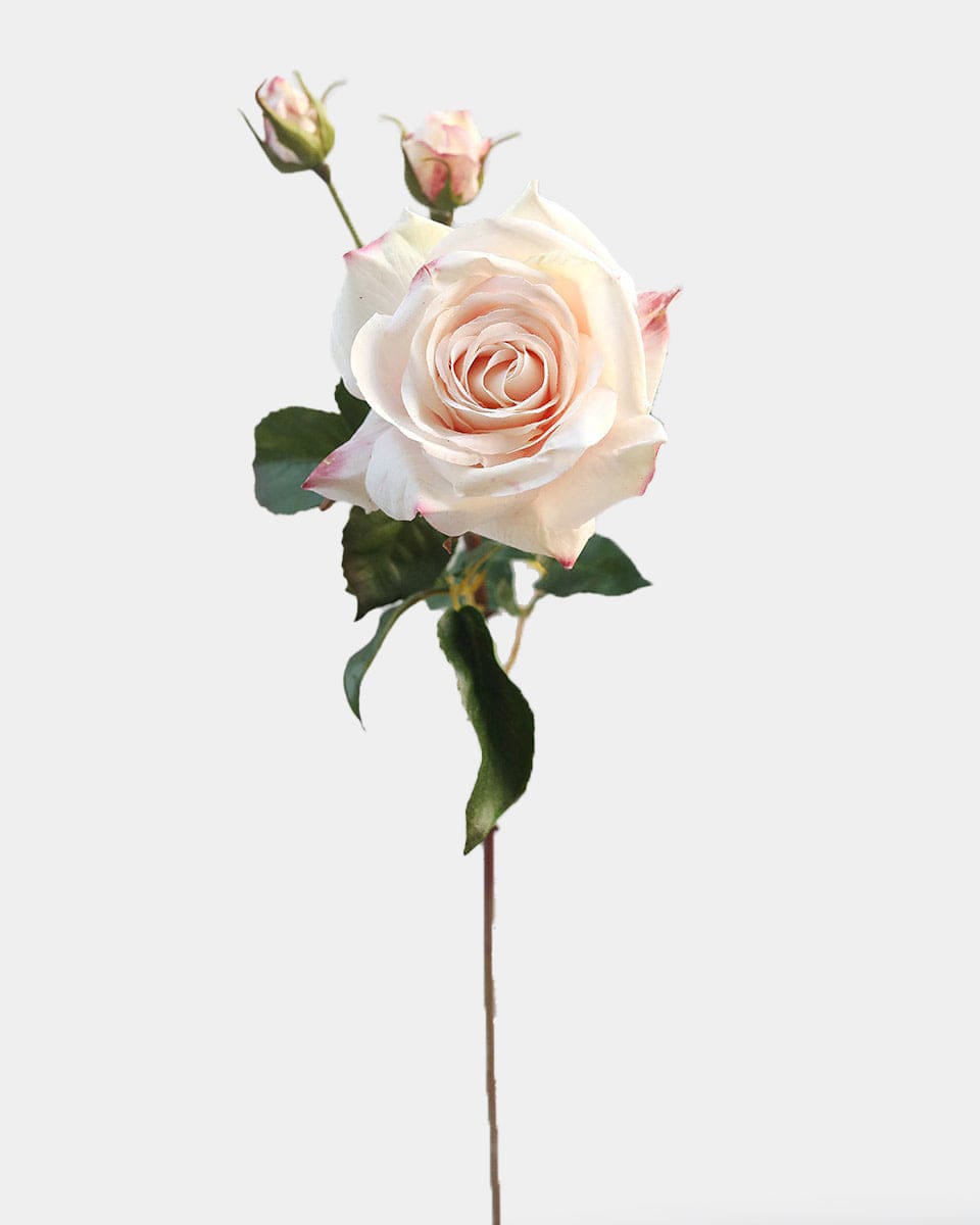 Real Touch Prestige Pink Rose 22” - 1