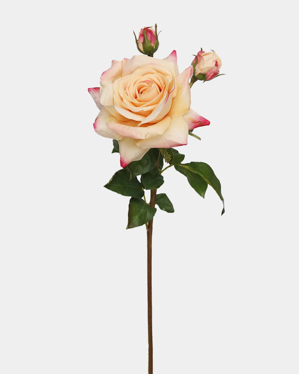 Real Touch Prestige Peach Rose 22" - 1