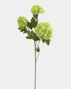 Premium Green Snowball 33" - 1