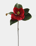 Crimson Red Magnolia 24" - 1