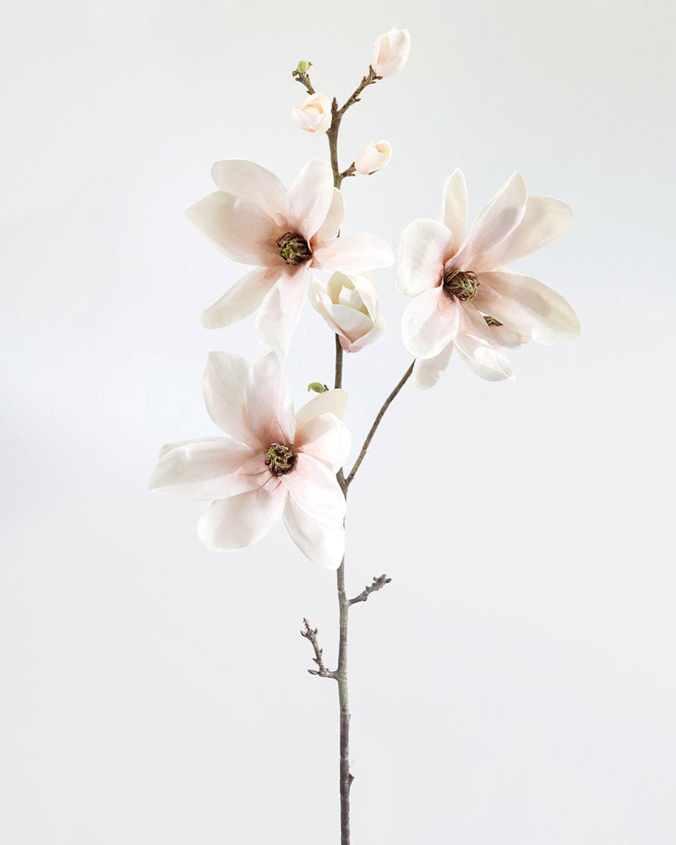 Blush Magnolia Blossom Branch 35" - 1
