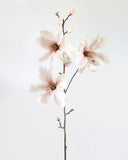 Blush Magnolia Blossom Branch 35" - 1