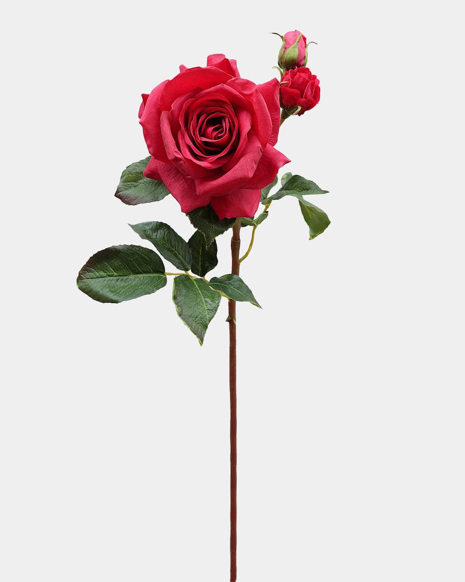 Real Touch Prestige Red Rose 22" - 1 Main image