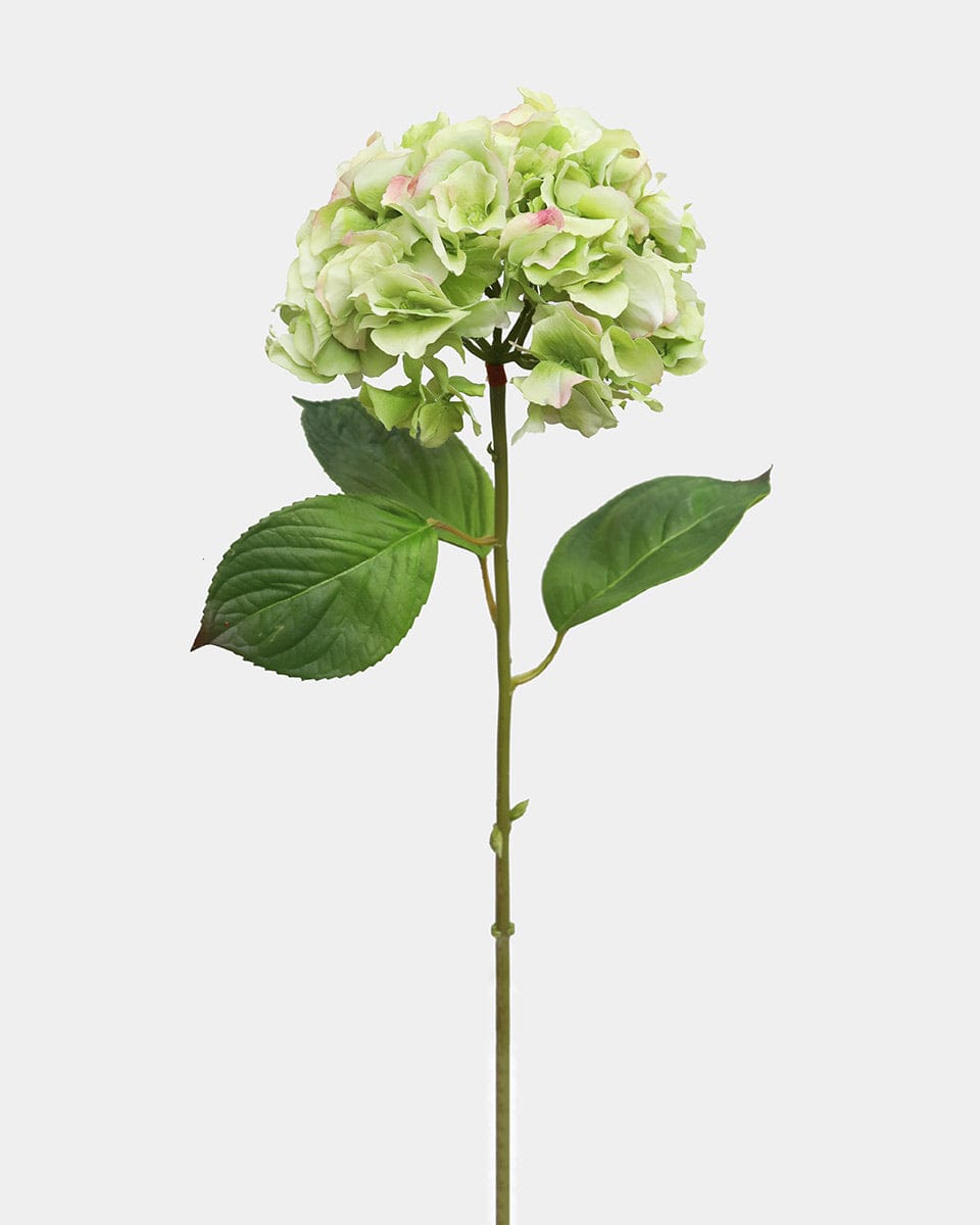 Real Touch Green Hydrangea 28.5" - 1 Main image
