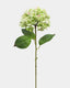 Real Touch Green Hydrangea 28.5" - 1