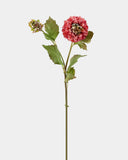 Mauve Dried Look Dahlia 20" - 1