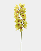 Green Cymbidium Orchid 41.5" - 1