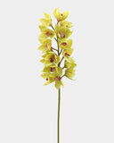 Green Cymbidium Orchid 41.5" - 1