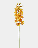 Yellow Orange Cymbidium Orchid 33" - 1