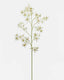 Dancing Oncidium Orchid 46.5" - 1