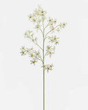 Dancing Oncidium Orchid 46.5" - 1