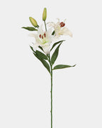 White Stargazer Lily 29" - 1