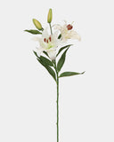 White Stargazer Lily 29" - 1