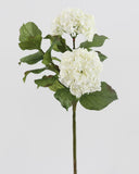White Double Hydrangea 36" - 1