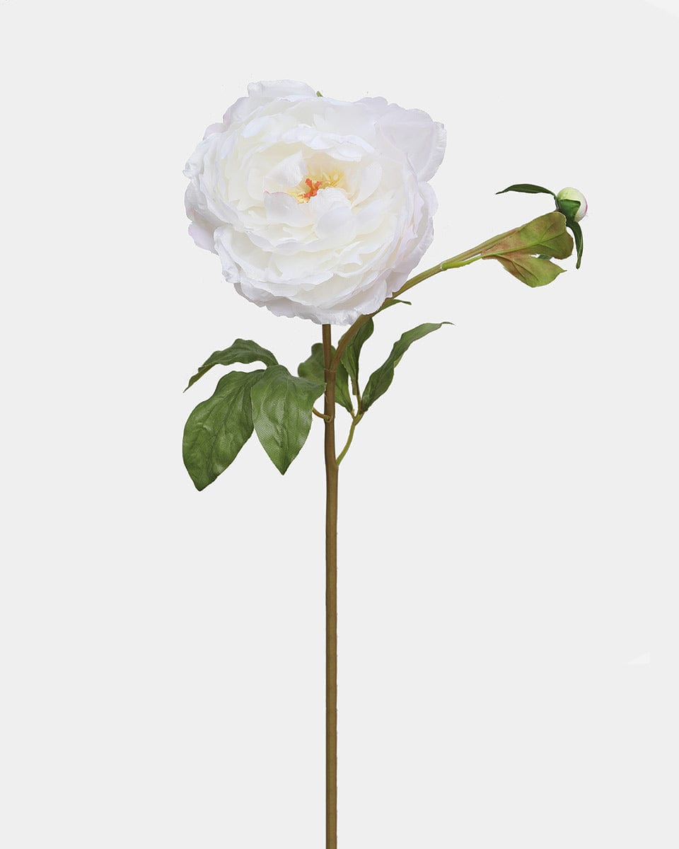 White Peony 19.5" - 1 Main image