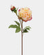 Yellow Peony 19.5" - 1