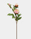 Soft Yellow Peony 19" - 1