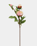 Soft Yellow Peony 19" - 1