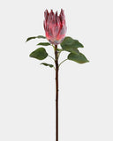 Burgundy Faux King Protea 23.5" - 1