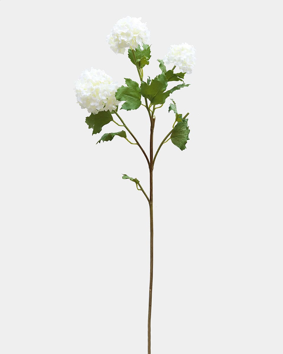 Premium Cream Snowball 33" - 1 Main image