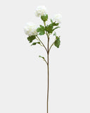Premium Cream Snowball 33" - 1