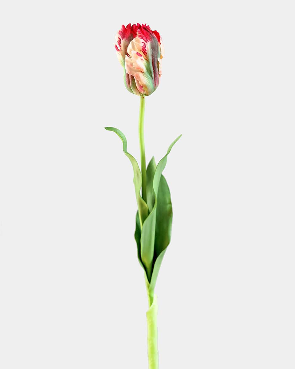 Real Touch Lemon Parrot Tulip 27" - 1 Main image