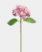 Pink Soft Touch Hydrangea 18'' - 1