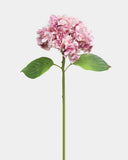 Pink Soft Touch Hydrangea 18'' - 1