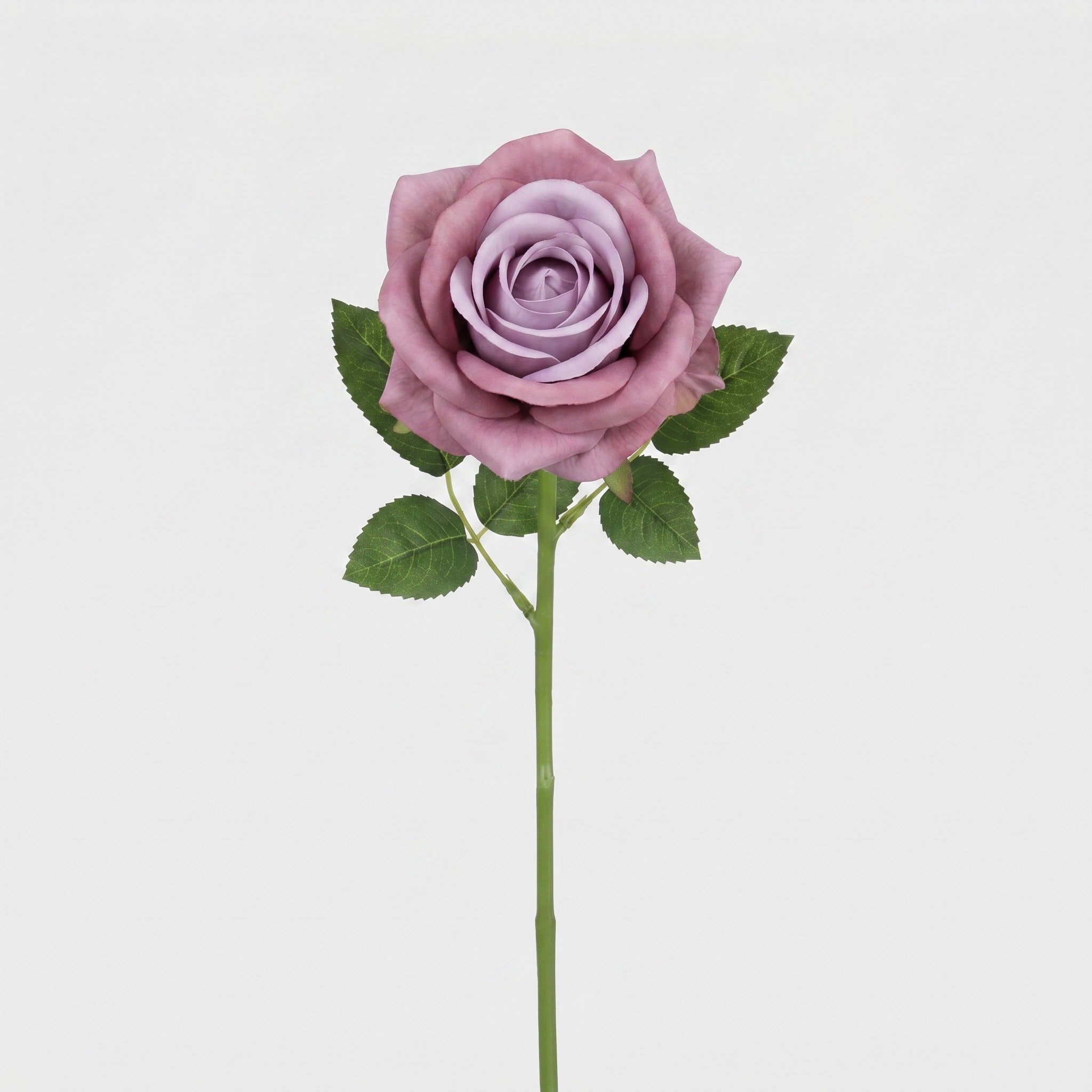 Large Rose Single Stem Secondary image
