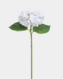Small White Hydrangea 18" - 1