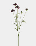 Violet Scabiosa Wildflower 29" - 1