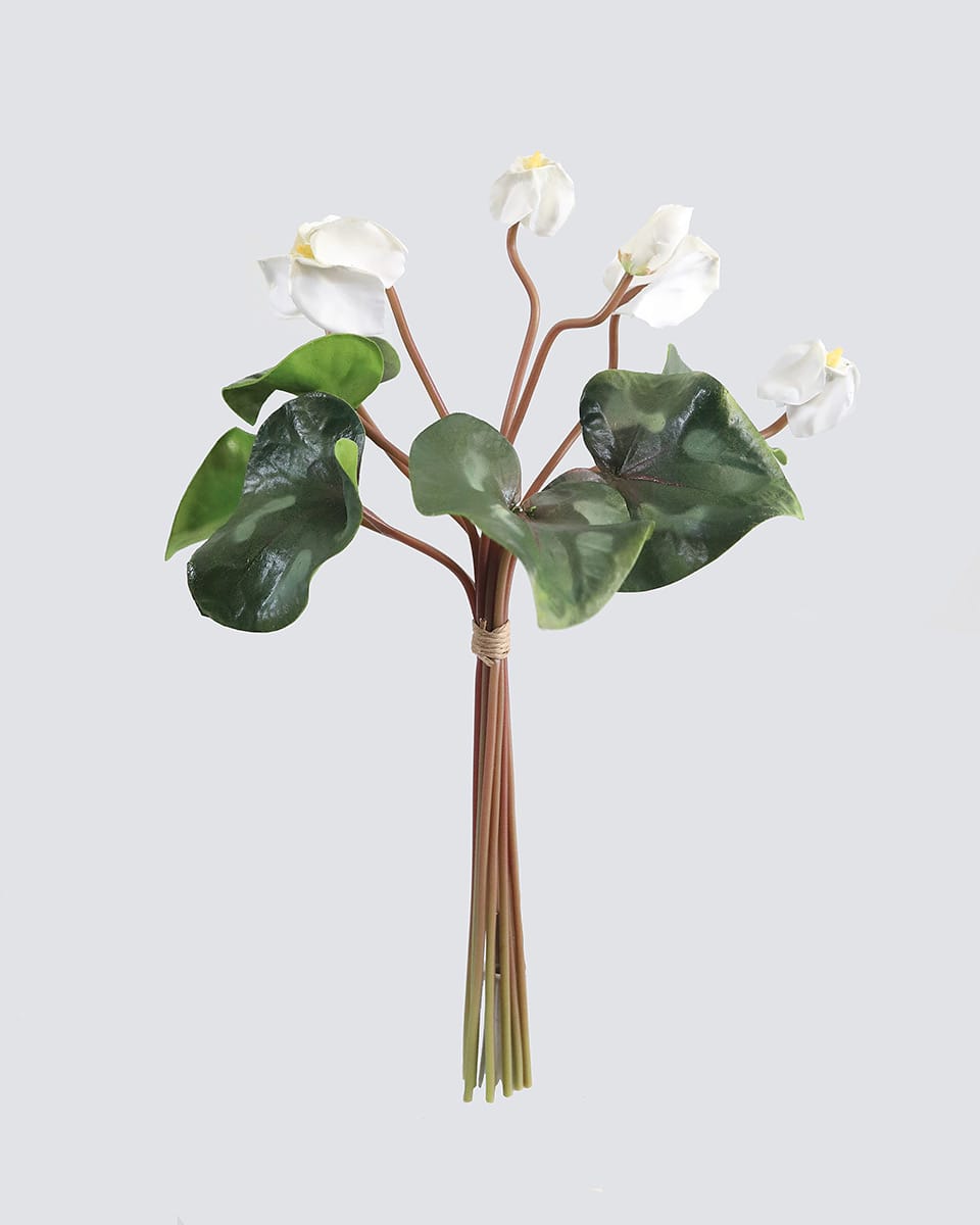 White Cyclamen Bouquet 14.5" - 1 Main image