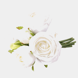 6 Cabbage Rose Bundle — text removed