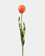 Yellow Orange Tulip 22.5" - 1