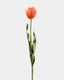 Yellow Orange Tulip 22.5" - 1