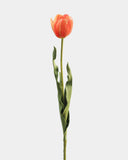 Yellow Orange Tulip 22.5" - 1