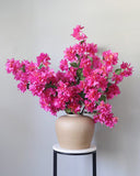 Fuchsia Bougainvillea Branch 44" - 2