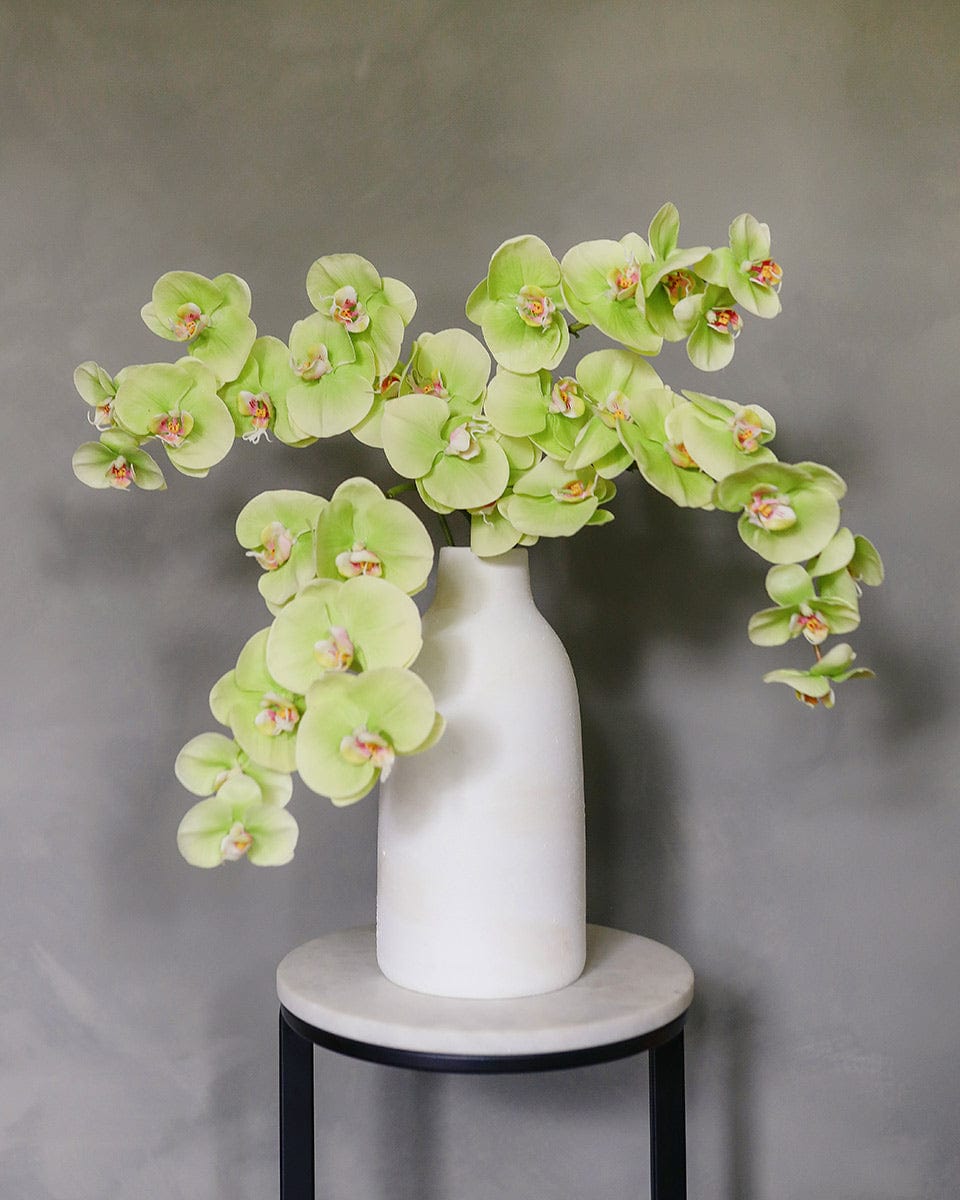 Green Phalaenopsis Orchid 33" Secondary image