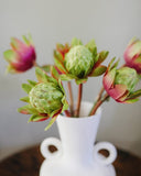 Faux Green Waratah Protea 16.5” - 2