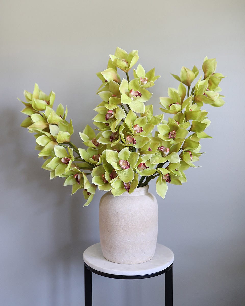 Green Cymbidium Orchid 41.5" Secondary image