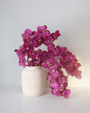 Deep Magenta Phalaenopsis Orchid 34" - 2
