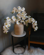 White Flowering Phalaenopsis Orchid 34" - 2